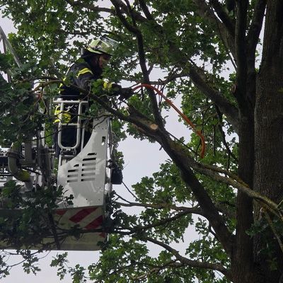FW Celle: Wetterbedingte Einsätze am Donnerstag