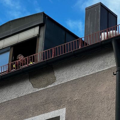 FW-M: Hund auf dem Dach (Milbertshofen)
