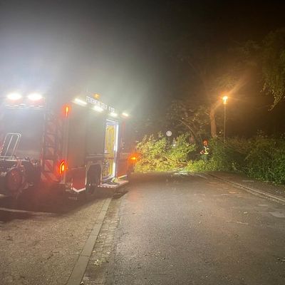 FW Celle: Einsatzreiche Nacht für die Feuerwehr Celle - mehrere Sturm- und Brandeinsätze