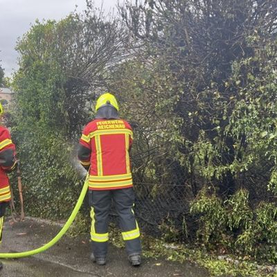FW Reichenau: Brennende Hecke schnell gelöscht, Reichenau-Mittelzell, 16.04.2025