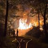 FW-E: Großer Holzstapel geht in Flammen auf - Feuerwehr verhindert Ausbreitung auf angrenzenden Wald