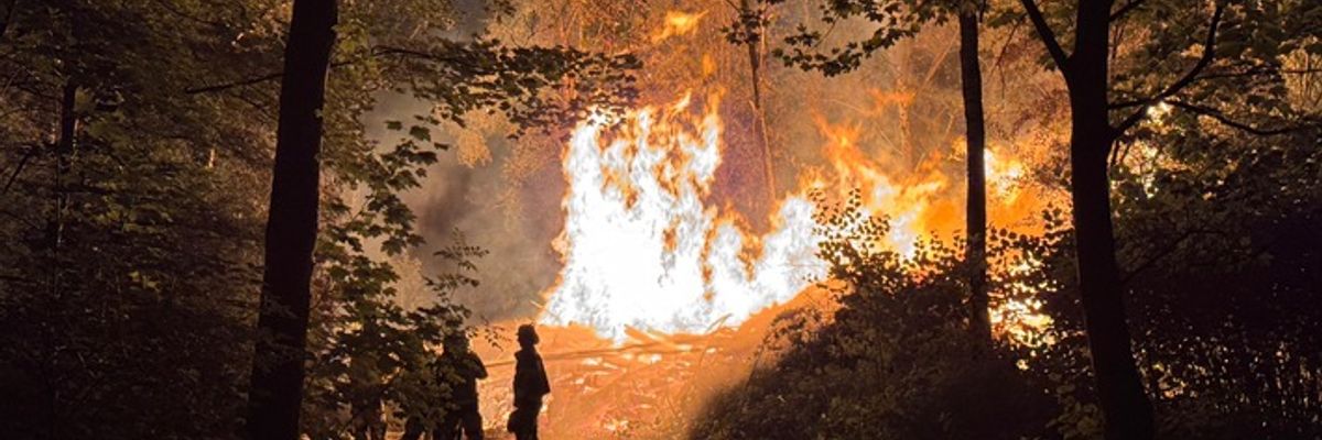 FW-E: Großer Holzstapel geht in Flammen auf - Feuerwehr verhindert Ausbreitung auf angrenzenden Wald