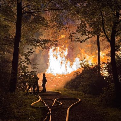 FW-E: Großer Holzstapel geht in Flammen auf - Feuerwehr verhindert Ausbreitung auf angrenzenden Wald