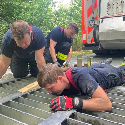FW-F: Adlerblick und Teamgeist: Feuerwehr Frankfurt rettet Bussard "Hugo" aus misslicher Lage
