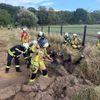 FF Bad Salzuflen: Freiwillige Feuerwehr Bad Salzuflen rettet Pferd aus Entwässerungsgraben / 29-jährige "Sally" nach rund 30 Minuten unverletzt auf den Beinen
