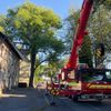 FW-DO: Ast auf Hausdach sorgt für aufwendigen Feuerwehreinsatz in Dortmund-Husen