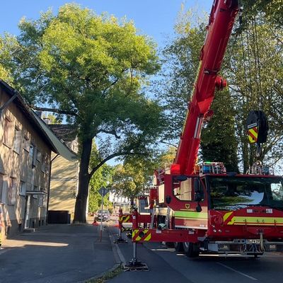 FW-DO: Ast auf Hausdach sorgt für aufwendigen Feuerwehreinsatz in Dortmund-Husen