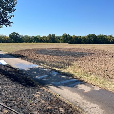 FW Petershagen: PKW Brand auf der B482