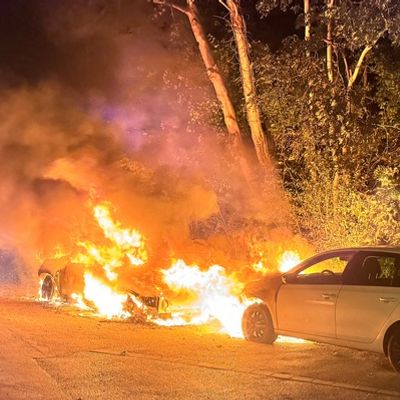 FW-MH: PKW-Brand auf der Wienenbuschstraße greift auf weiteres Fahrzeug und Waldstück über - Feuerwehr verhindert Ausbreitung