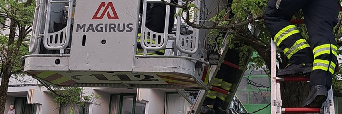 FW-M: Rettung aus luftiger Höhe (Au)
