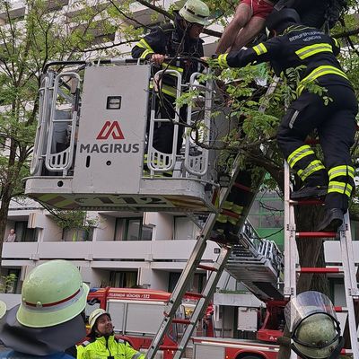 FW-M: Rettung aus luftiger Höhe (Au)