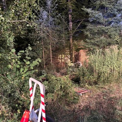 KFV-CW: PKW stürzt nachts Böschung hinunter / Feuerwehr schlägt Schneise in Wald / Eingeklemmte Schwerverletzte befreit