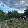 FW Reichenau: Baum blockiert Fahrweg - 22.08.2026