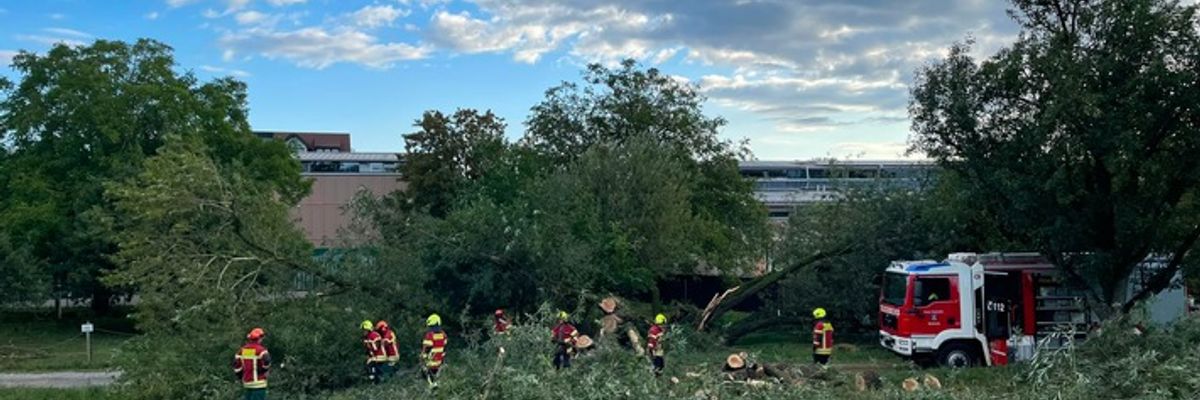 FW Reichenau: Baum blockiert Fahrweg - 22.08.2026
