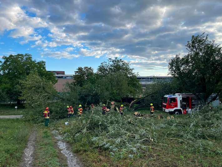 FW Reichenau: Baum blockiert Fahrweg - 22.08.2026