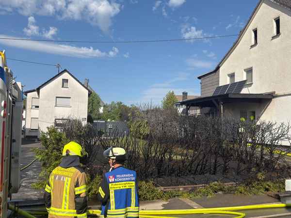 FW Königswinter: Brennende Thujahecke in Königswinter-Berghausen schnell gelöscht