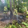 FW-MK: Waldbrand rechtzeitig entdeckt