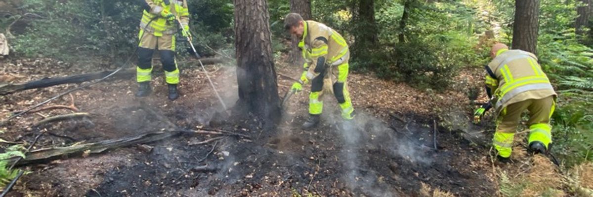FW-MK: Waldbrand rechtzeitig entdeckt