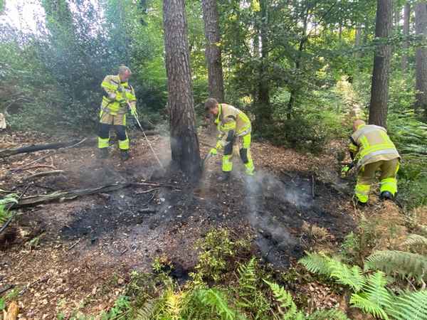 FW-MK: Waldbrand rechtzeitig entdeckt