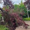 FW Celle: Wetterbedingte Einsätze am Donnerstag