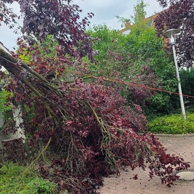 FW Celle: Wetterbedingte Einsätze am Donnerstag