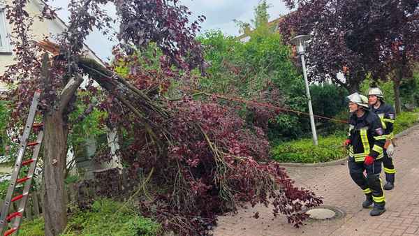 FW Celle: Wetterbedingte Einsätze am Donnerstag