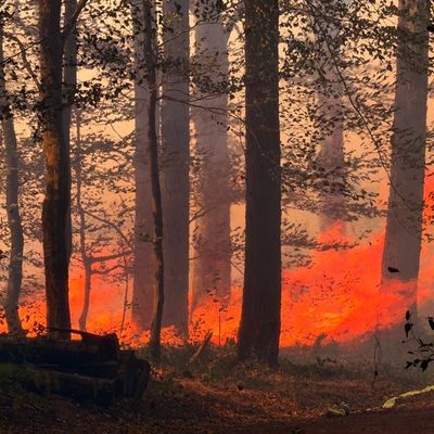 FW LK Neunkirchen: Waldbrand im Hosterwald: Einsatz nach 78 Stunden beendet