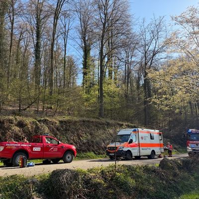 FW Weinheim: Vom Waldweg abgekommen und abgerutscht - Weinheimer Feuerwehr rettet zwei Spaziergänger oberhalb des Funkturms Nächstenbach