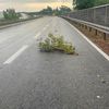 FW Reichenau: Ast auf Fahrbahn nach Gewitter - 19.06.2026