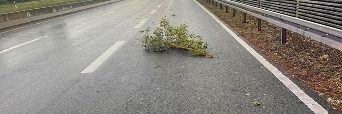 FW Reichenau: Ast auf Fahrbahn nach Gewitter - 19.06.2026