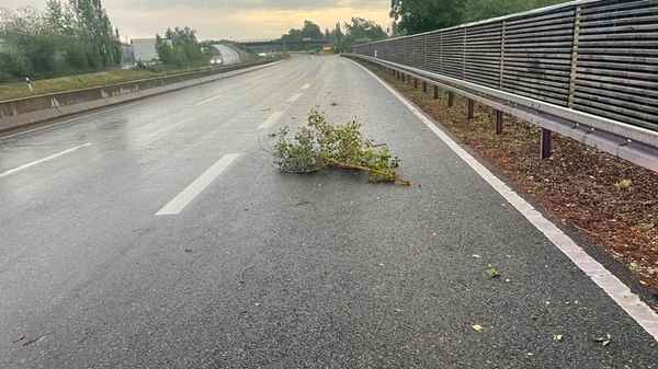 FW Reichenau: Ast auf Fahrbahn nach Gewitter - 19.06.2026