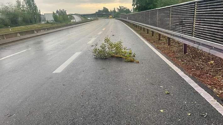 FW Reichenau: Ast auf Fahrbahn nach Gewitter - 19.06.2026