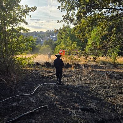 FW-RS: Vegetationsbrand Papenberg Feuerwehr verhindert weitere Ausbreitung