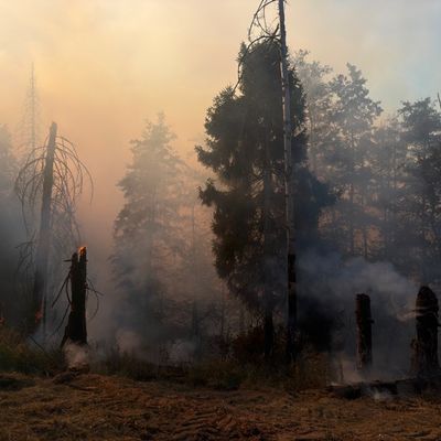 FW Kreis Soest: Waldbrand am Möhnesee / Feuerwehren aus dem Kreis Soest im Einsatz
