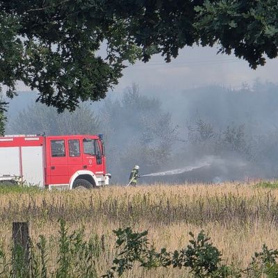 FW Celle: Größerer Vegetationsbrand im Altenceller Feld