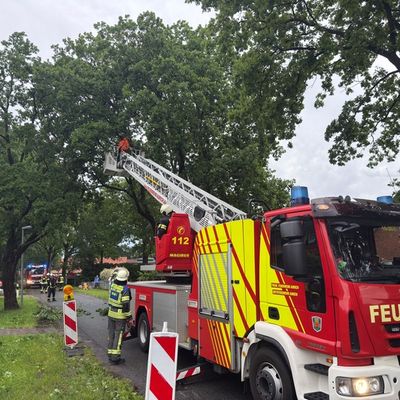FW-AUR: Vermehrte Blitzeinschläge während nächtlicher Gewitter