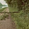 FW-Schermbeck: Baum blockierte Weg