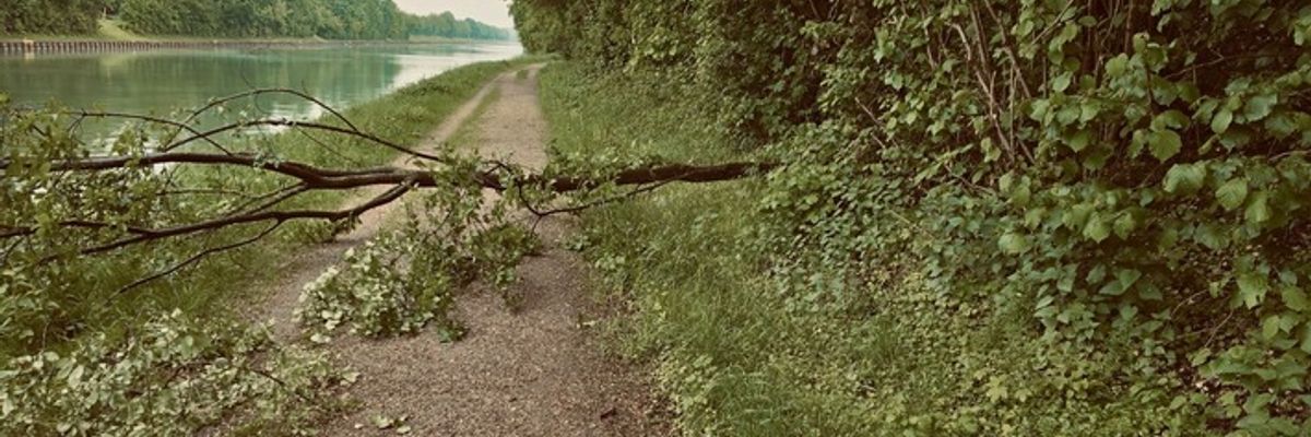 FW-Schermbeck: Baum blockierte Weg