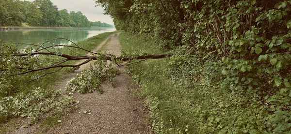 FW-Schermbeck: Baum blockierte Weg