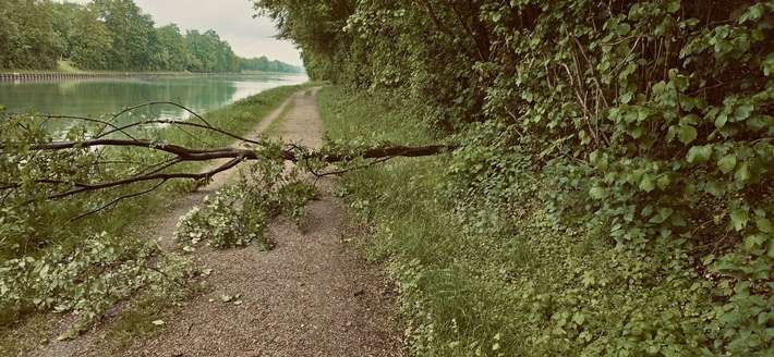 FW-Schermbeck: Baum blockierte Weg