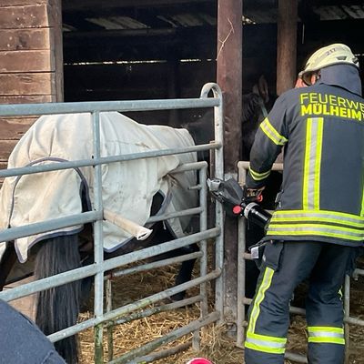 FW-MH: Tier in Notlage - Technische Hilfeleistung durch die Feuerwehr