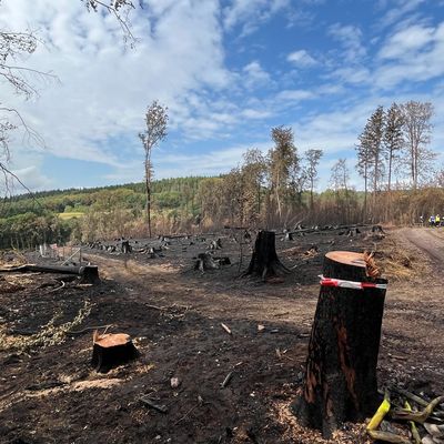 FW LK Neunkirchen: Waldbrand im Hosterwald: Einsatz nach 78 Stunden beendet
