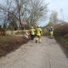 FW Weinheim: Umgestürzter Baum blockiert Fahrbahn in der Bohäckersiedlung