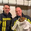 FW-BO: Gefiederter Gast im Heizungskeller - Waldkauz in Grumme befreit
