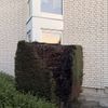 FW-DT: *Korrektur* Brennende Hecke - Anwohner verhindern Schlimmeres