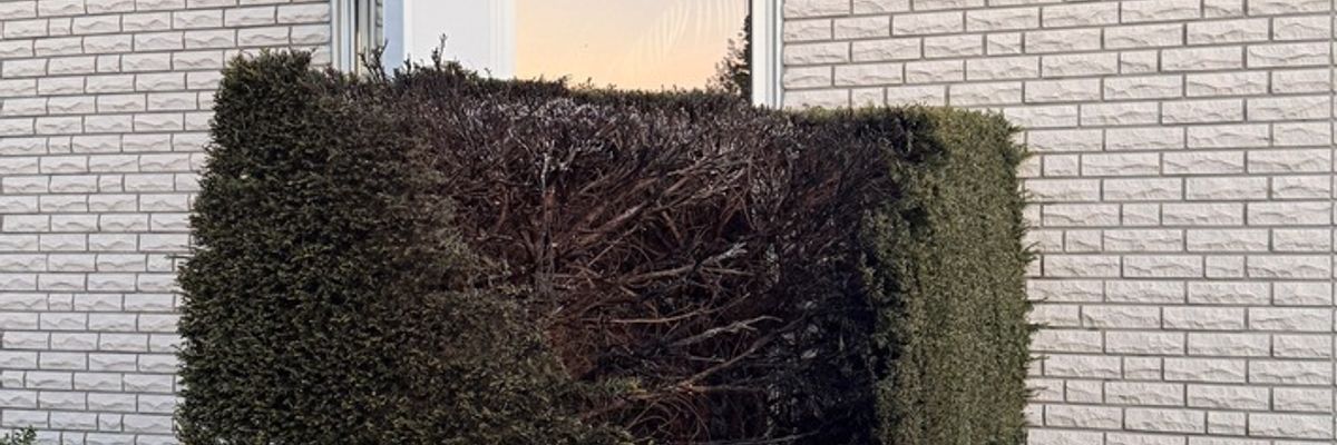 FW-DT: *Korrektur* Brennende Hecke - Anwohner verhindern Schlimmeres