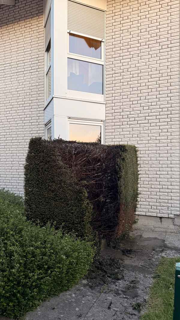 FW-DT: *Korrektur* Brennende Hecke - Anwohner verhindern Schlimmeres