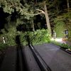 FW-Schermbeck: Hindernis auf FahrbAHN