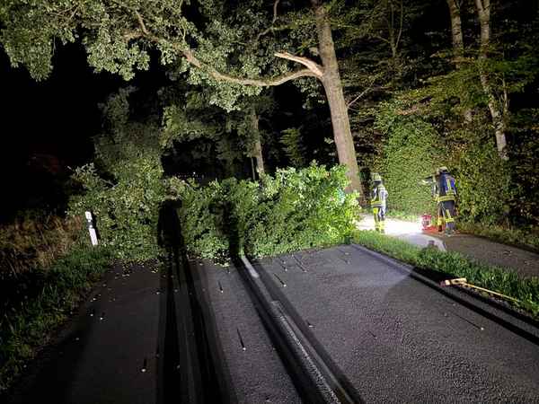 FW-Schermbeck: Hindernis auf FahrbAHN