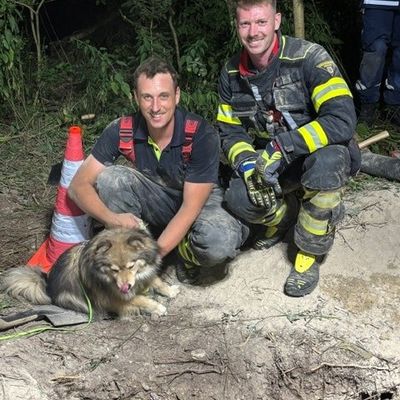 FW-M: Hund verirrt sich in Dachsbau (gemeindefreies Gebiet)